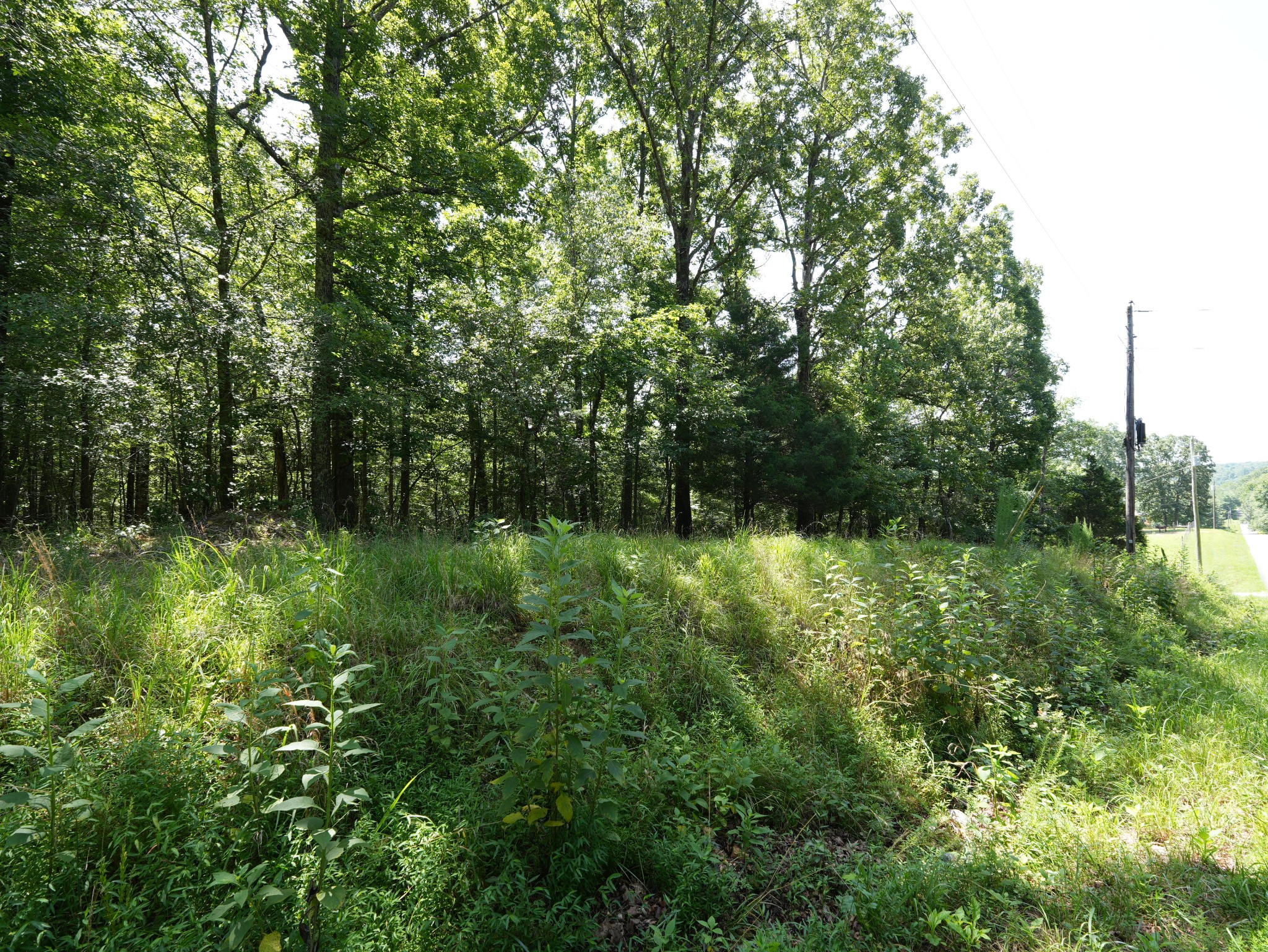 5 Tummins Road McEwen, TN 37101 - Photo 34 of 41