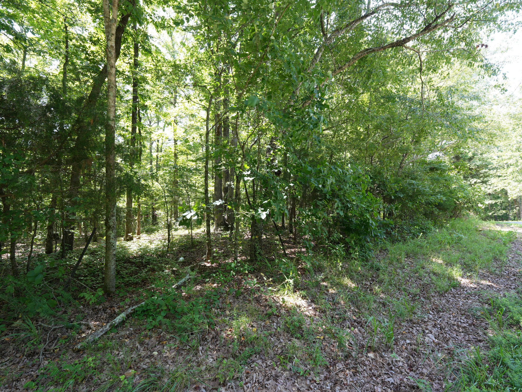 5 Tummins Road McEwen, TN 37101 - Photo 37 of 41