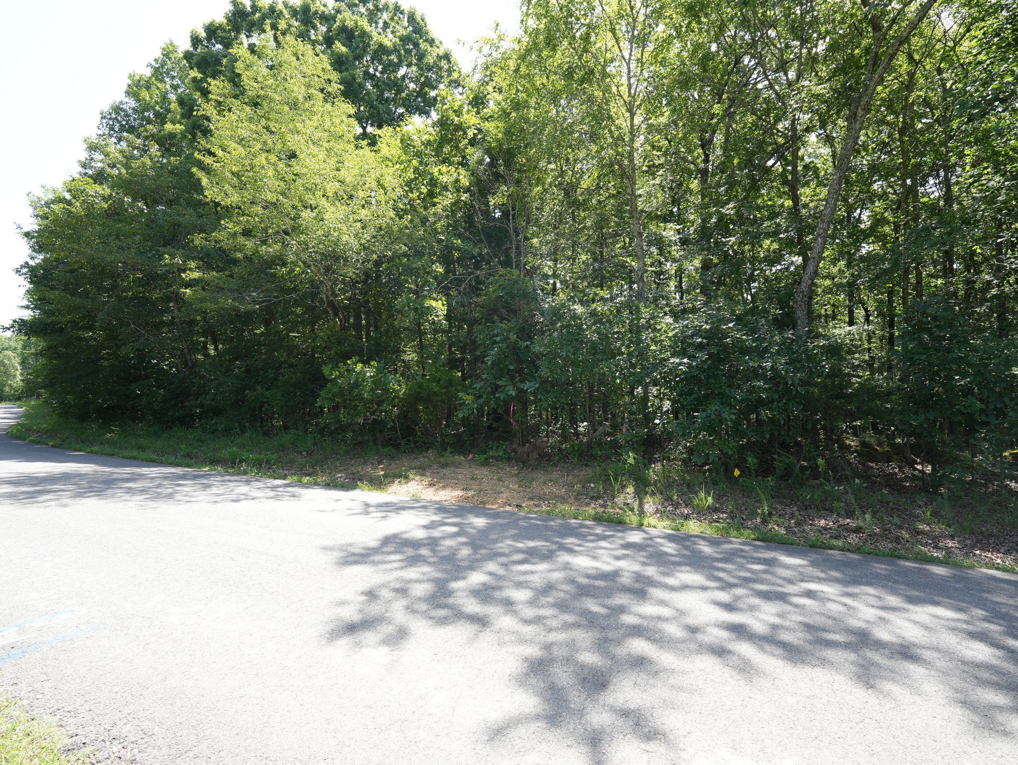 5 Tummins Road McEwen, TN 37101 - Photo 40 of 41