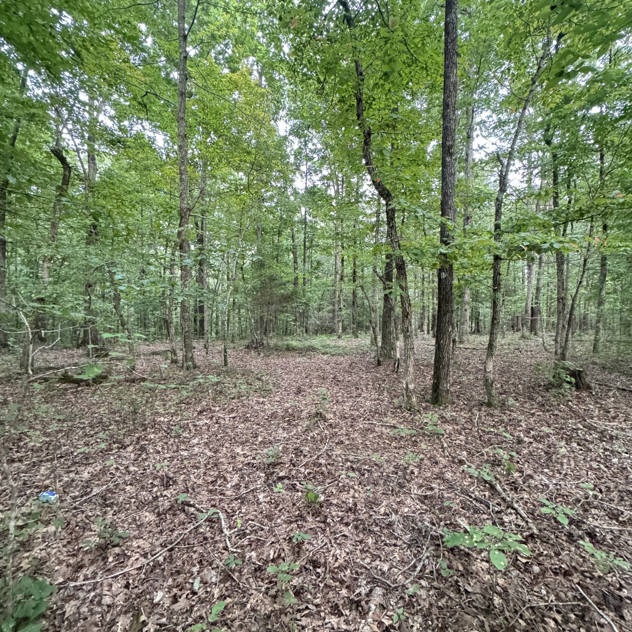 5 Tummins Road McEwen, TN 37101 - Photo 9 of 41