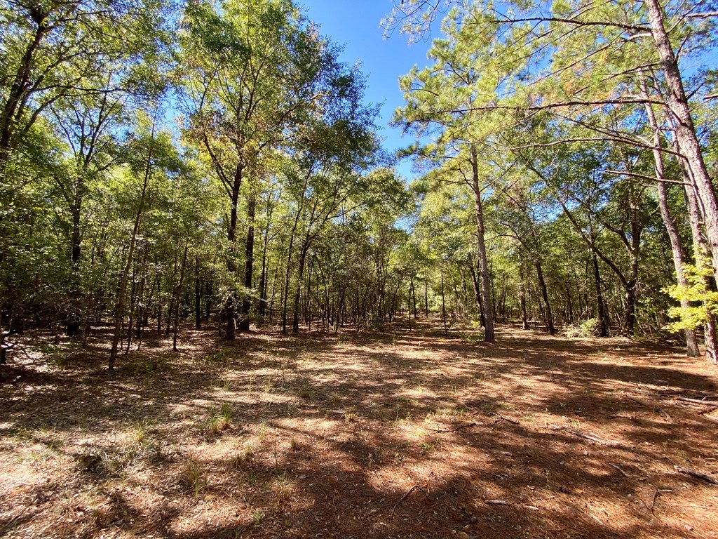 0 Clubhouse Road Coleman, GA 39836 - Photo 27 of 33 Gallery Image 27