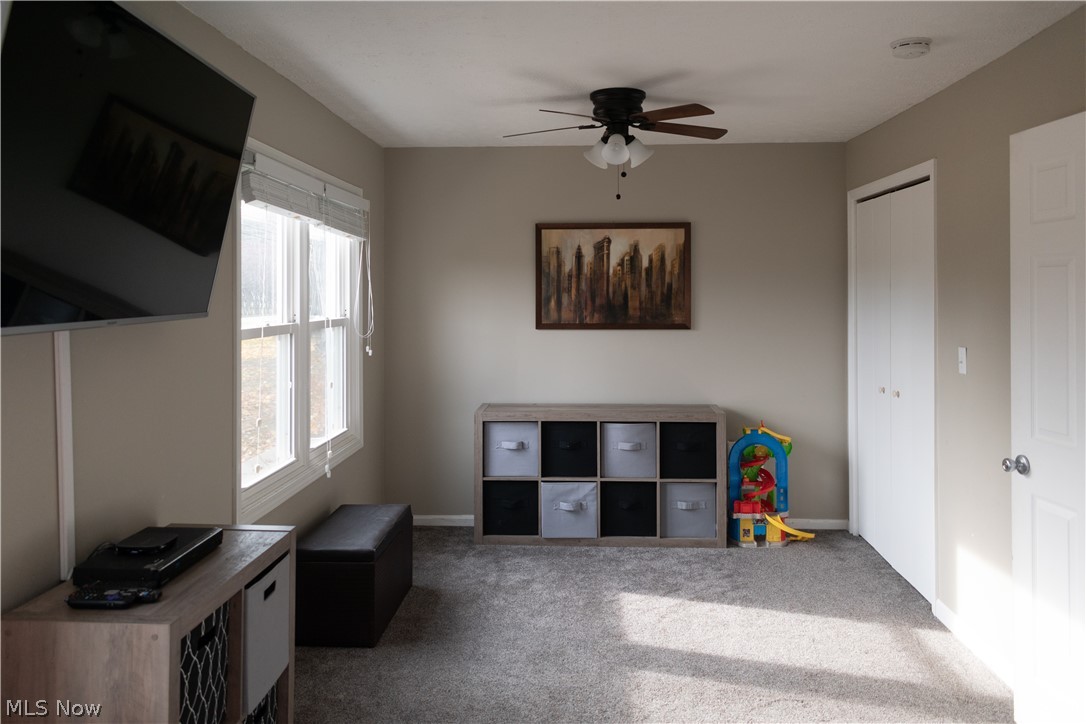 6047 Chapel Road Madison, OH 44057 - Photo 11 of 23 Gallery Image 11