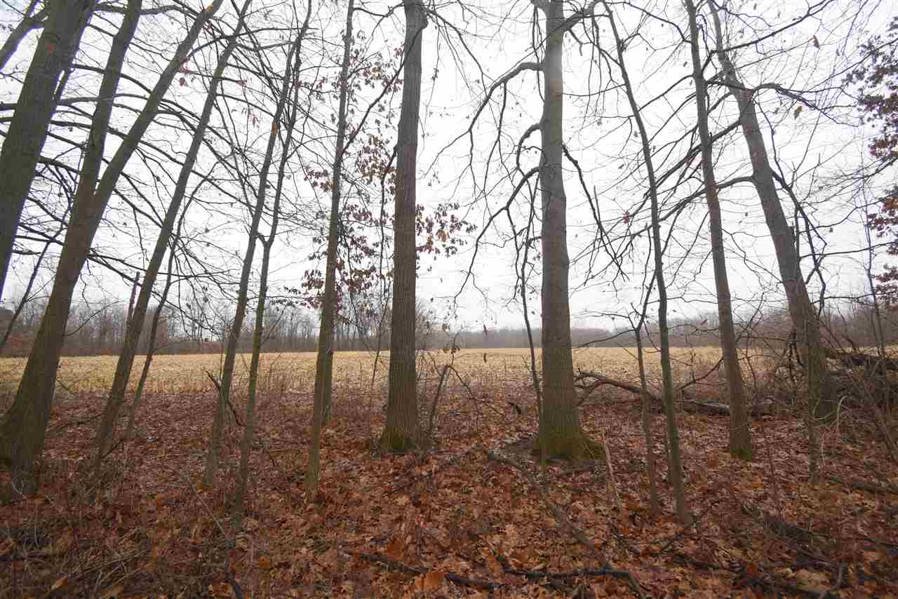 Vl Bishop Road Byron, MI 48418 - Photo 1 of 1