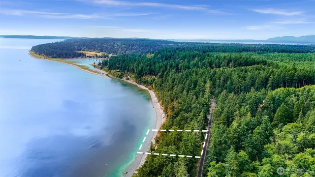 a view of a city with lush green forest