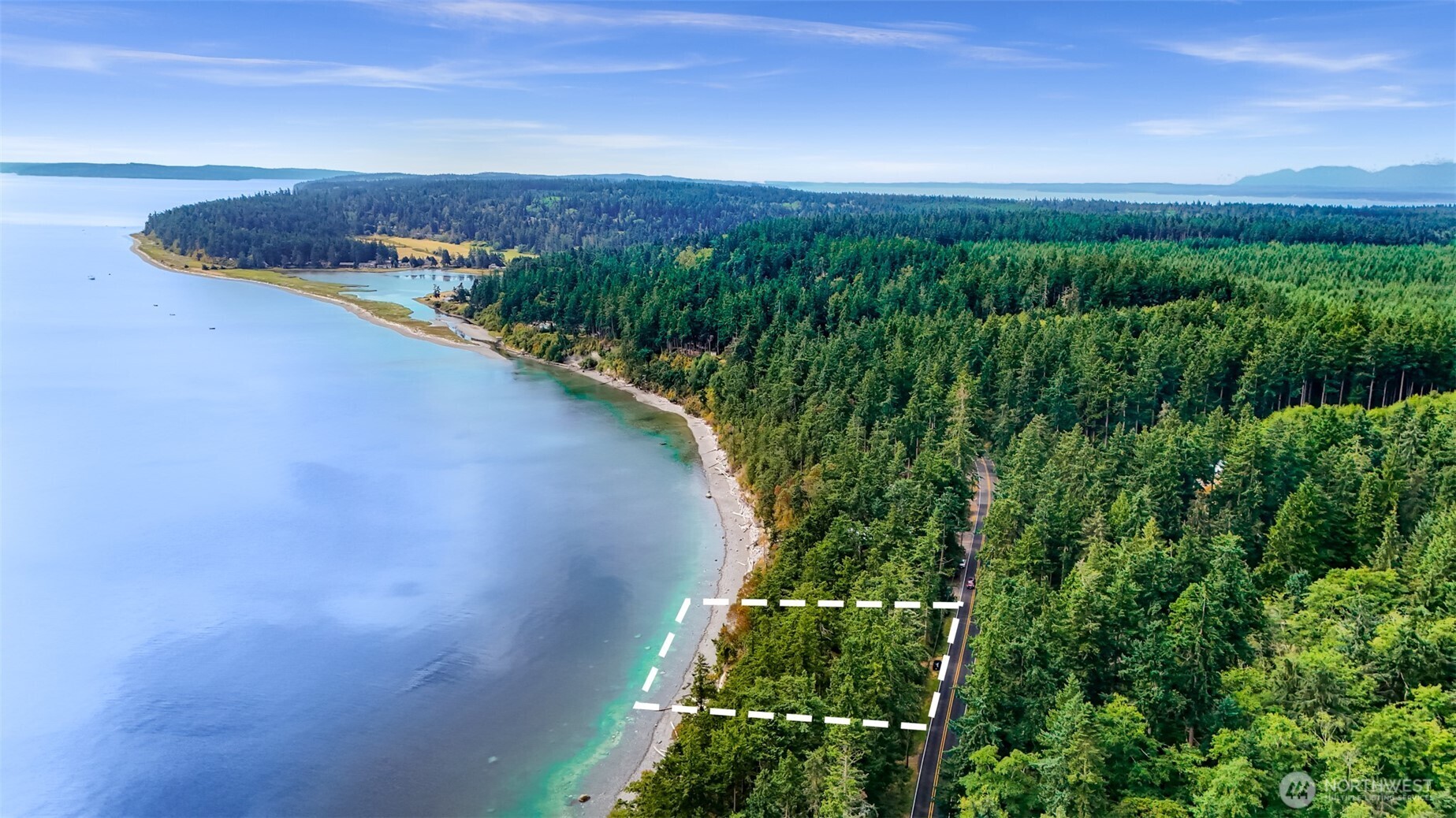 a view of a city with lush green forest