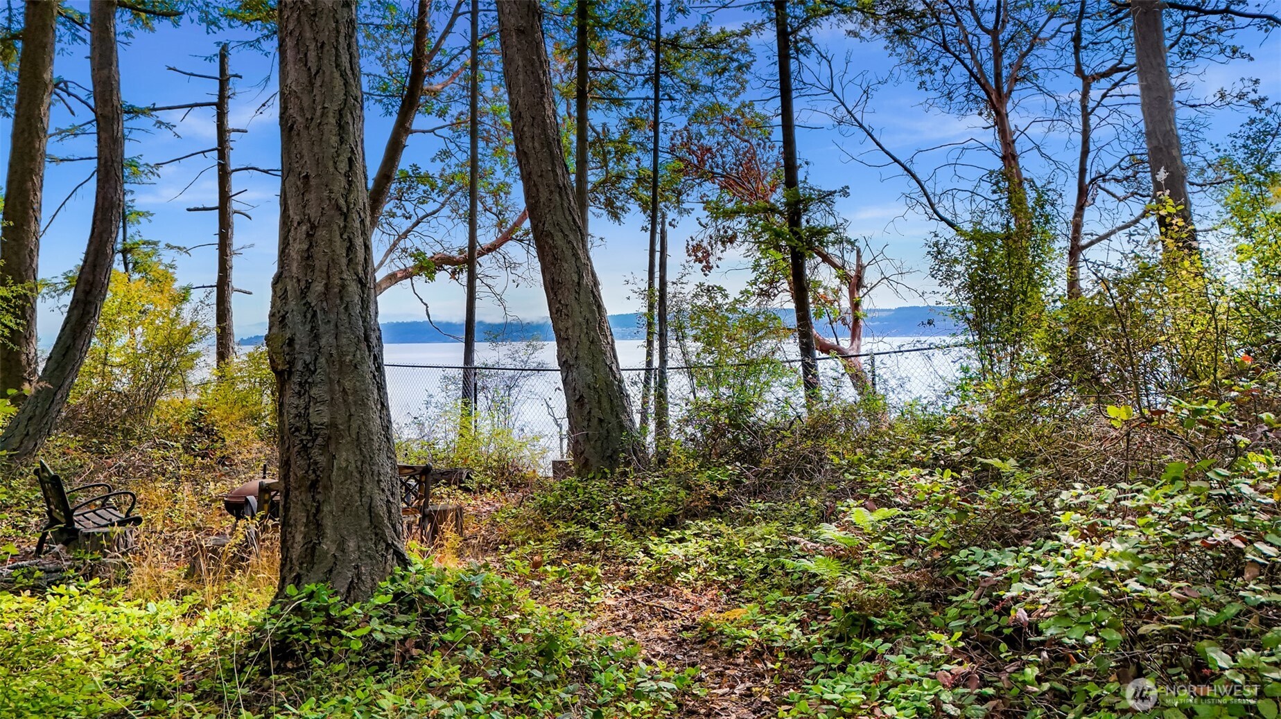 179 South Harrington Road Coupeville, WA 98239 - Photo 16 of 19 a view of a yard with plants and trees