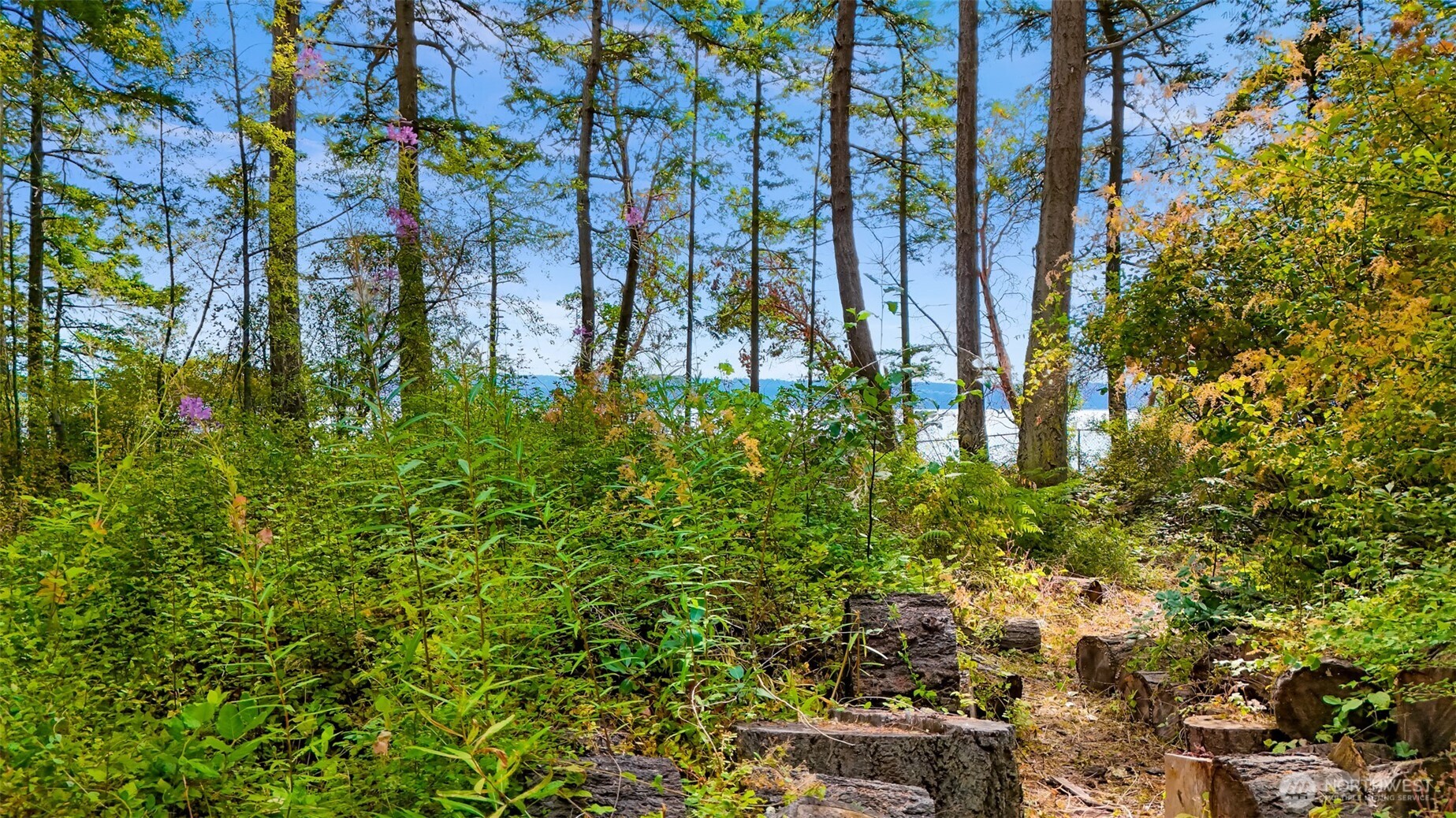 179 South Harrington Road Coupeville, WA 98239 - Photo 17 of 19