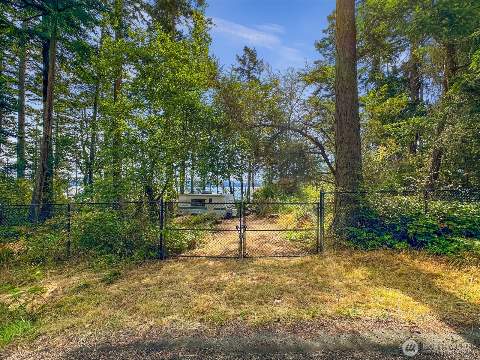 179 South Harrington Road Coupeville, WA 98239 - Photo 19 of 19 a backyard of a house with lots of green space