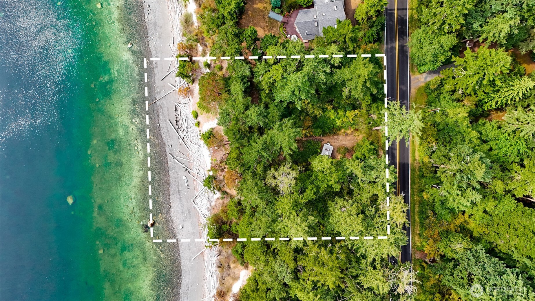 179 South Harrington Road Coupeville, WA 98239 - Photo 2 of 19 a plant that is in front of a tree