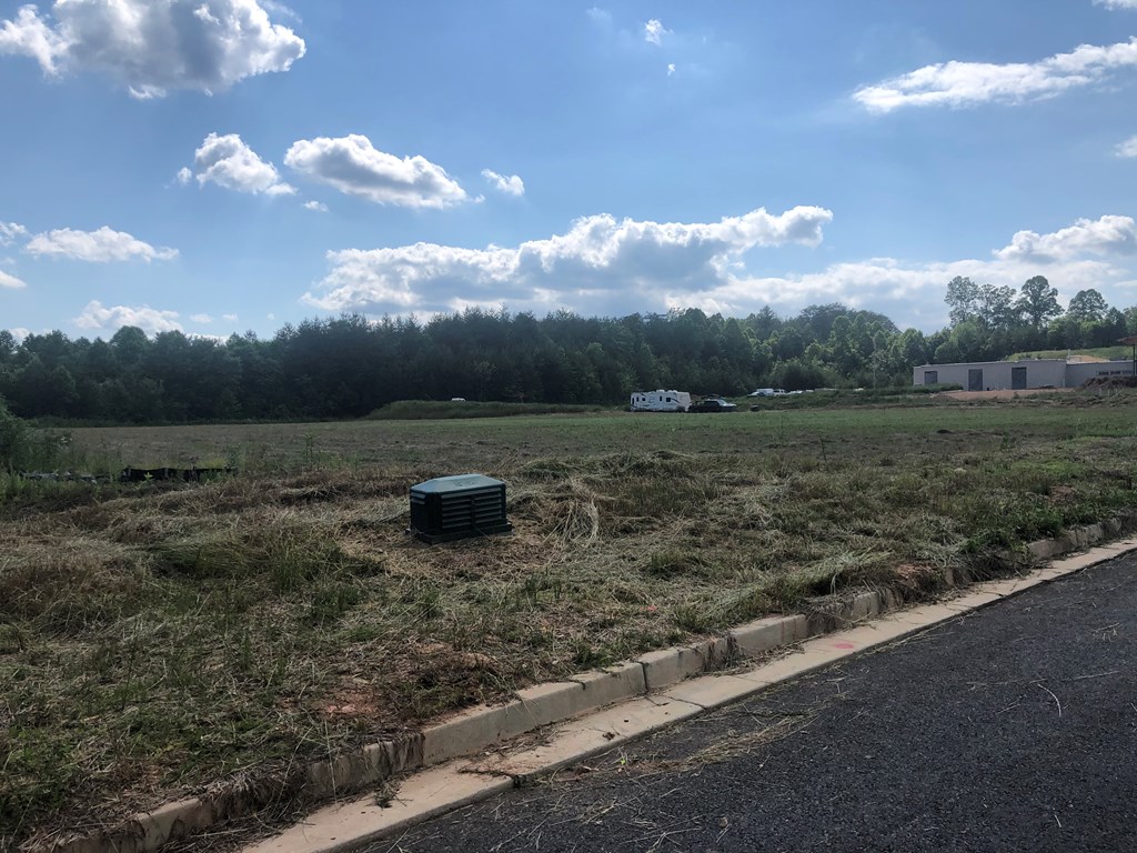 1-2 Blackhawk Drive Blue Ridge, GA 30513 - Photo 2 of 4