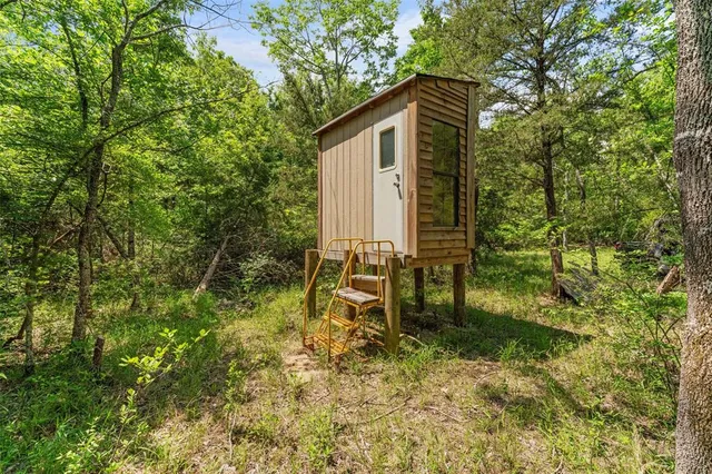 a big yard with lots of green space and deers