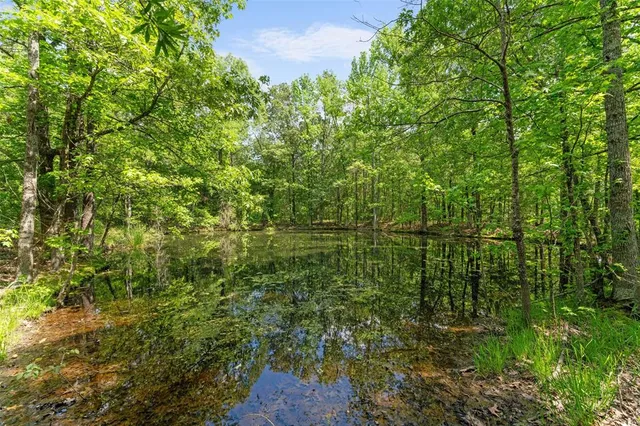 a view of an ocean and beach