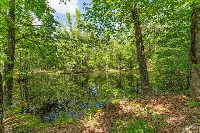 a view of an ocean and beach