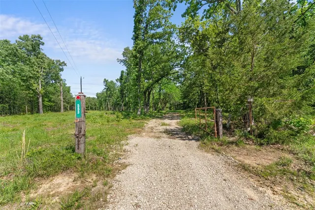 a view of a park with large trees