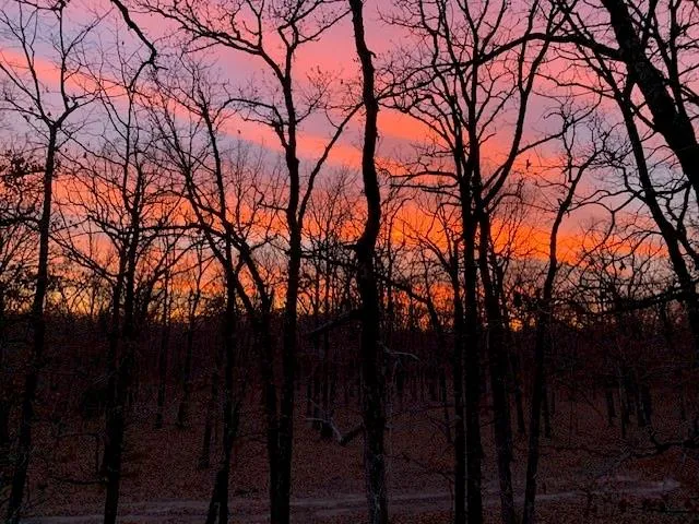 a backyard of a house with lots of green space and a fountain