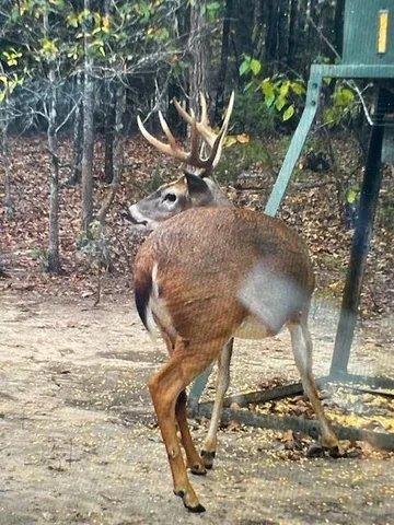 $1,149,000 | 553 County Road 3542, Sulphur Bluff, TX 75481