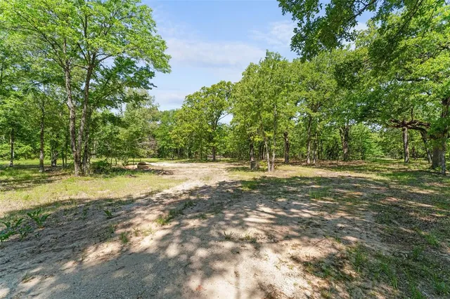 a view of outdoor space with trees all around
