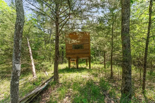 a view of outdoor space and yard
