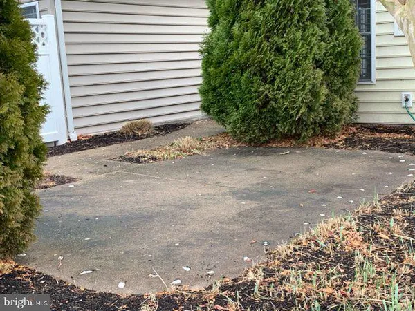 a view of a backyard with pathway and plants