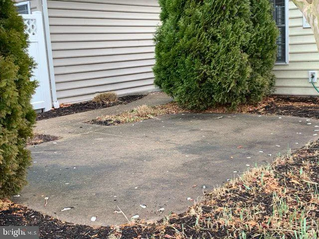 a view of a backyard with pathway and plants