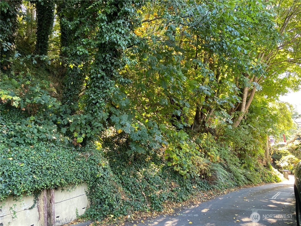 32-xx Northwest Esplanade Seattle, WA 98117 - Photo 13 of 28 an outdoor space with lots of trees