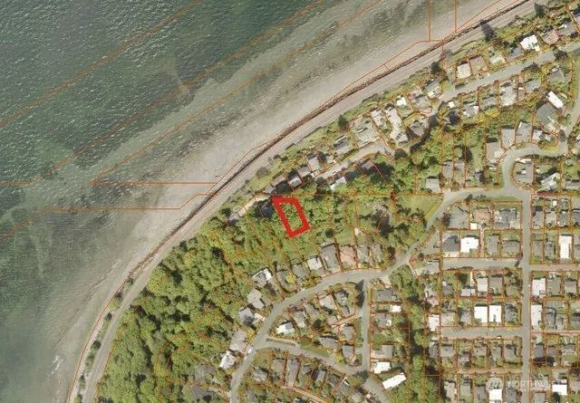 a view of a yard with plants