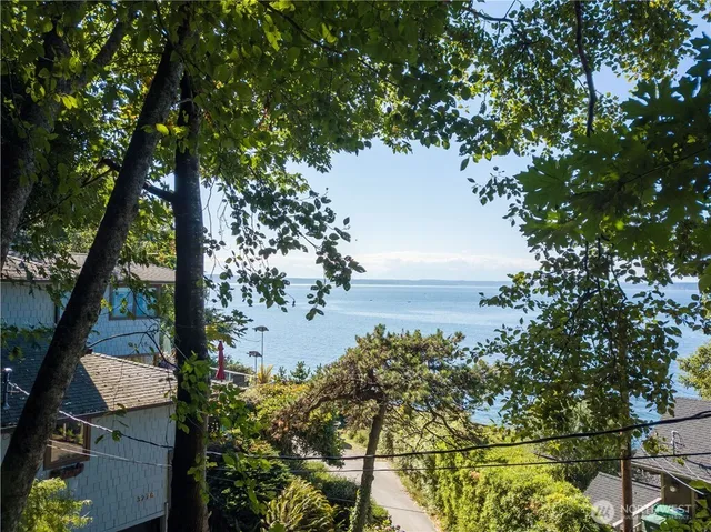 a view of a garden with a flower garden