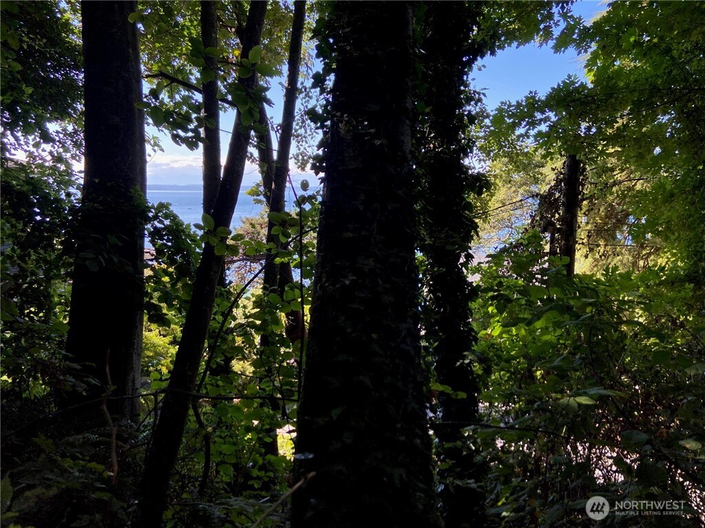 32-xx Northwest Esplanade Seattle, WA 98117 - Photo 4 of 28 a plant view