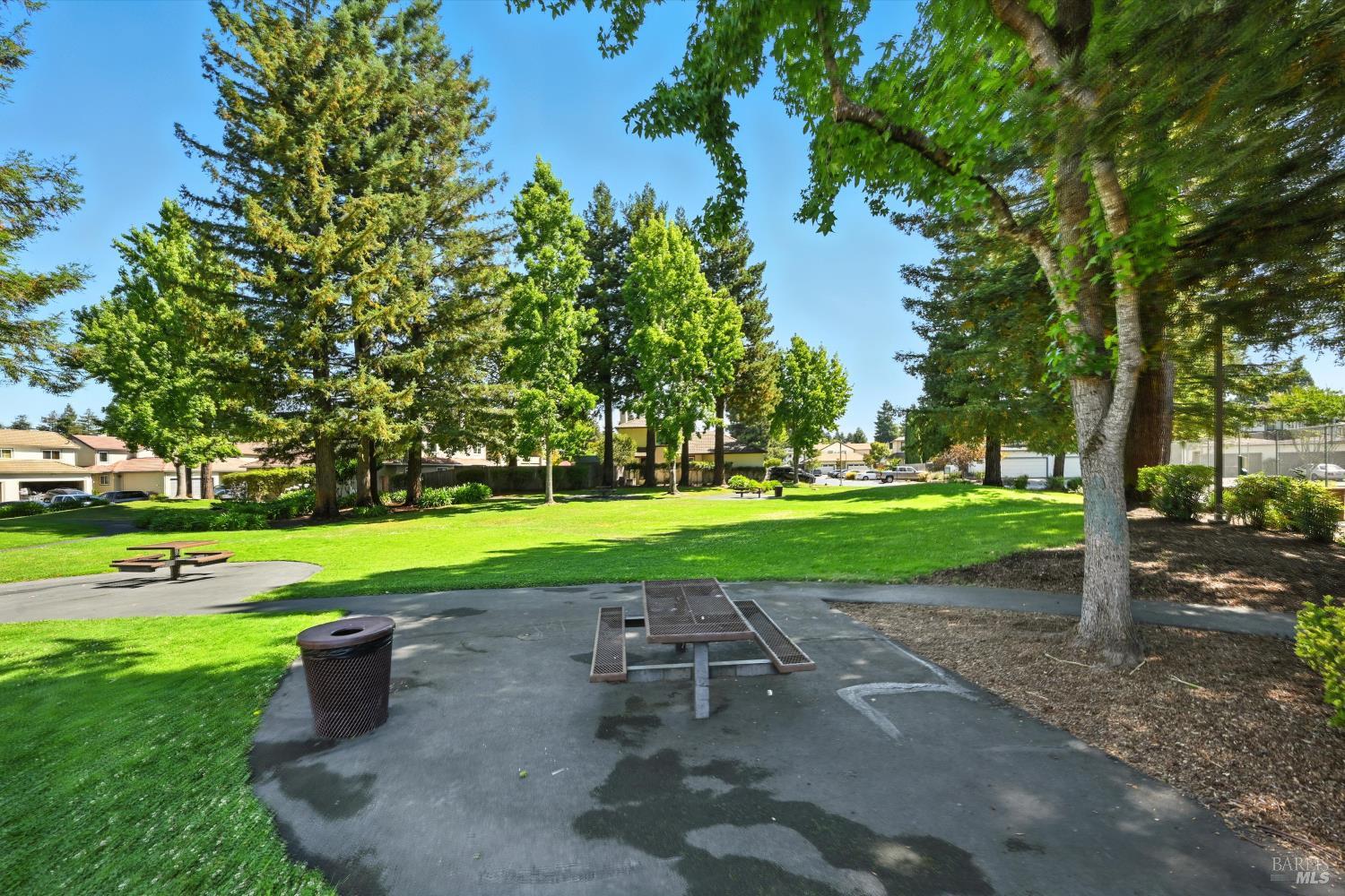 27 Fredrick Drive Rohnert Park, CA 94928 - Photo 24 of 26 a view of a park with large trees