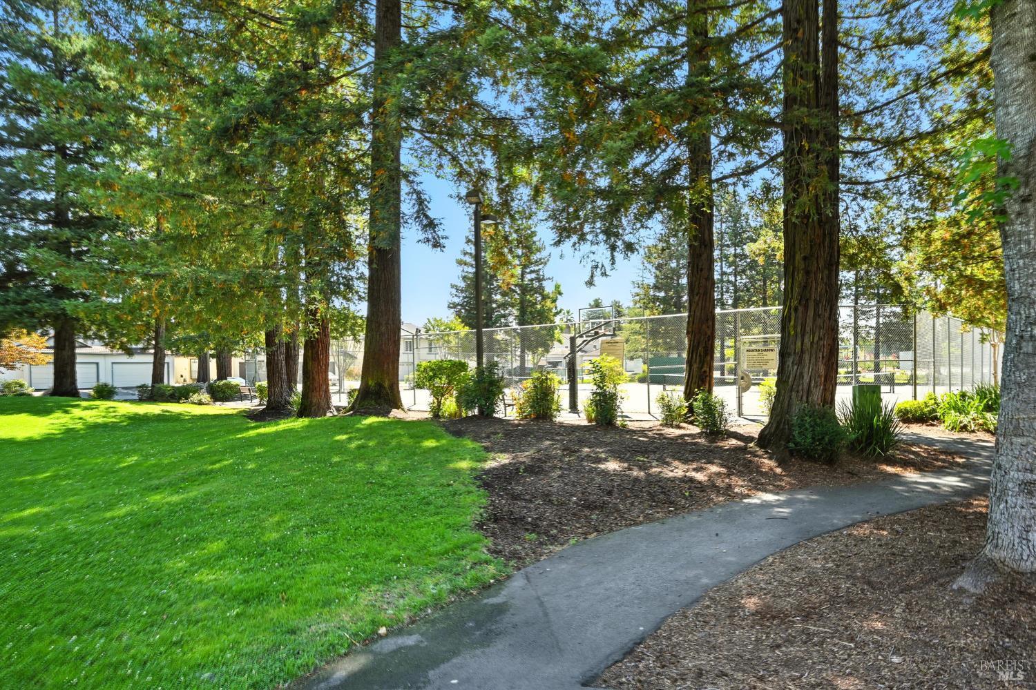 27 Fredrick Drive Rohnert Park, CA 94928 - Photo 25 of 26 a view of backyard with green space