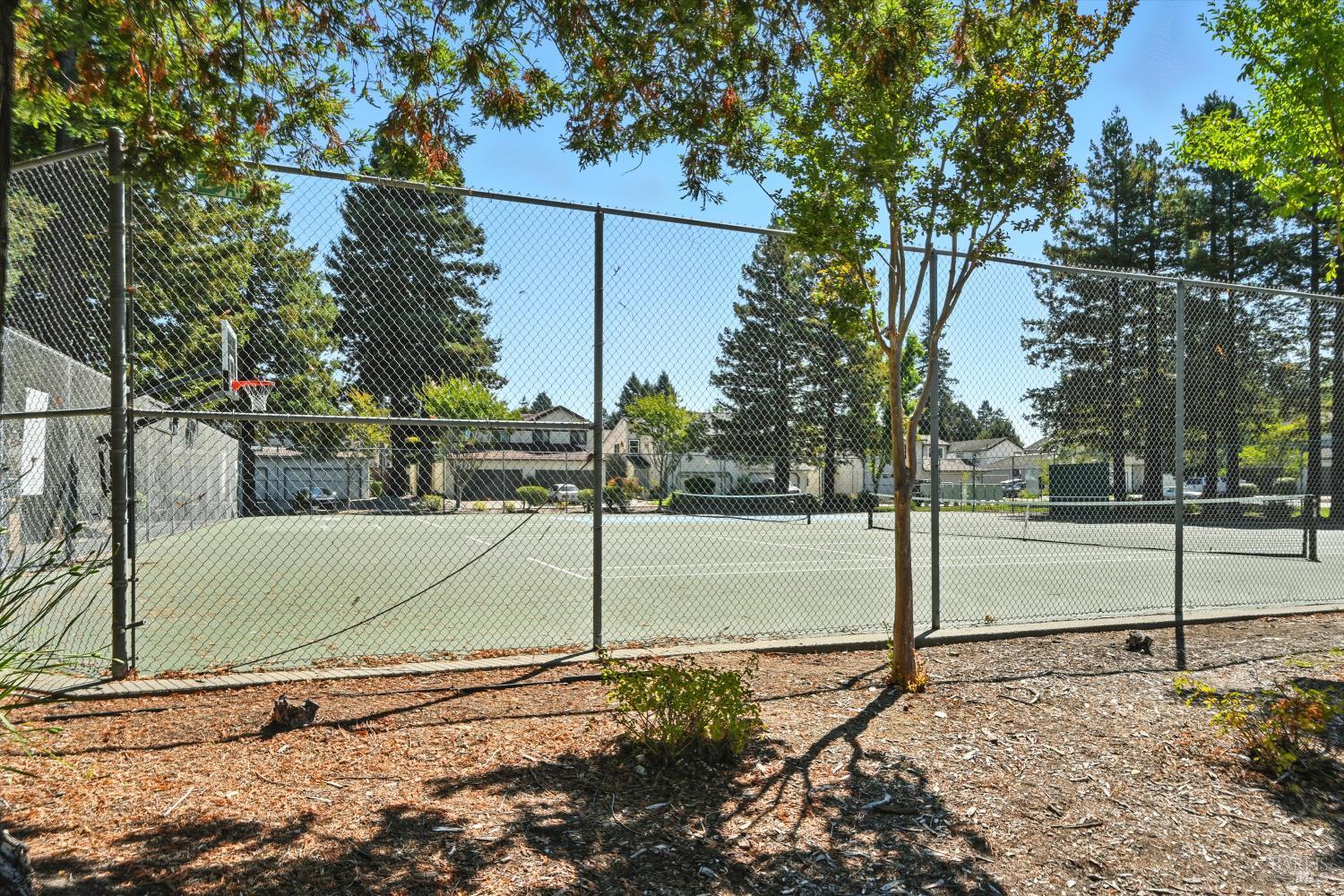 27 Fredrick Drive Rohnert Park, CA 94928 - Photo 26 of 26 a view of a backyard