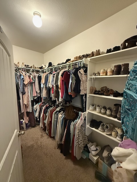 351 Wincliff Drive Buda, TX 78610 - Photo 13 of 25 Walk in closet featuring dark carpet