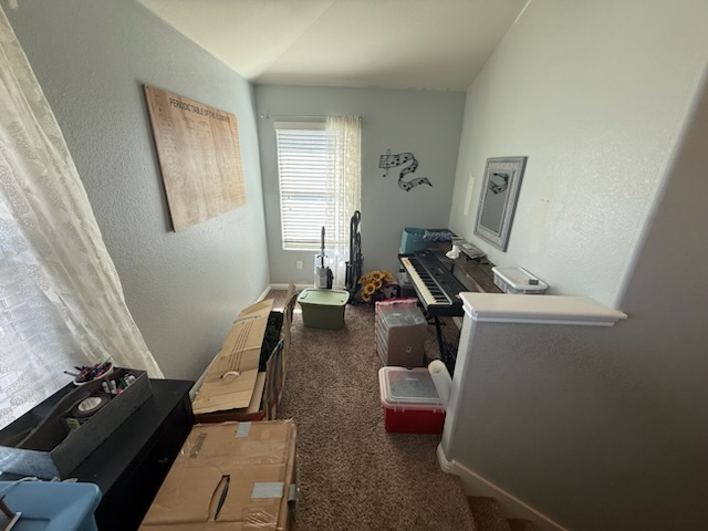 351 Wincliff Drive Buda, TX 78610 - Photo 20 of 25 Office featuring dark colored carpet and a textured wall
