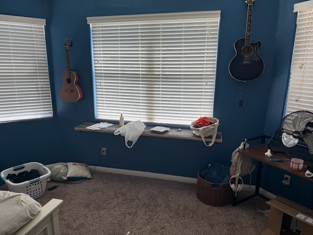 351 Wincliff Drive Buda, TX 78610 - Photo 5 of 25 Bedroom with carpet flooring and baseboards