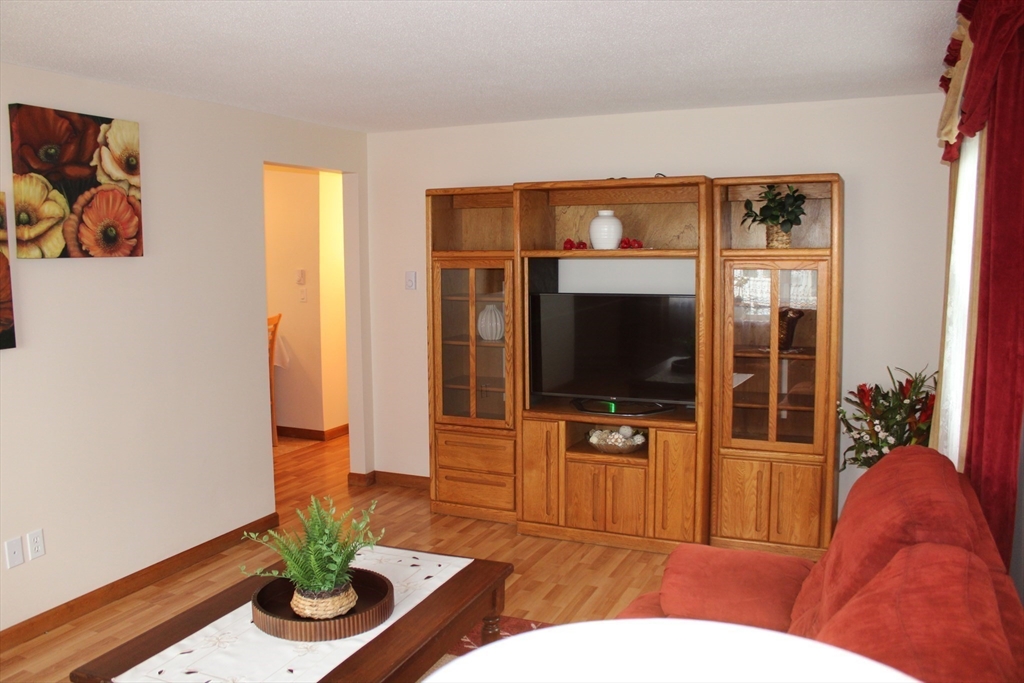 28 State Street Chicopee, MA 01013 - Photo 10 of 25 a living room with furniture potted plant and a flat screen tv