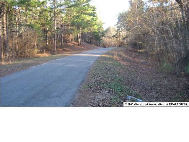 1 Chewalla Lake Road Holly Springs, MS 38635 - Photo 3 of 30 Additional Photo