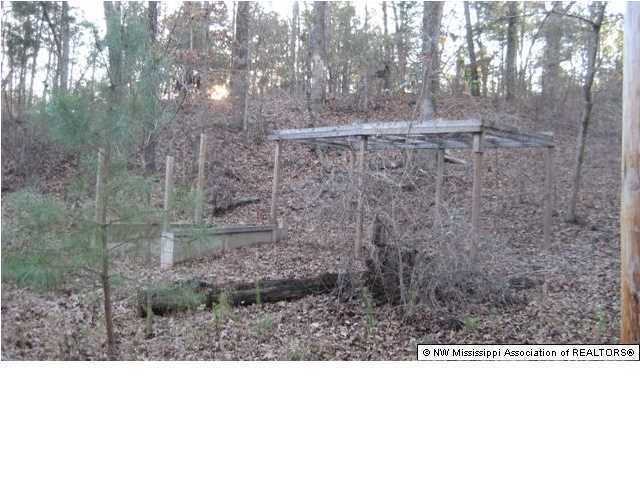 1 Chewalla Lake Road Holly Springs, MS 38635 - Photo 7 of 30 Additional Photo