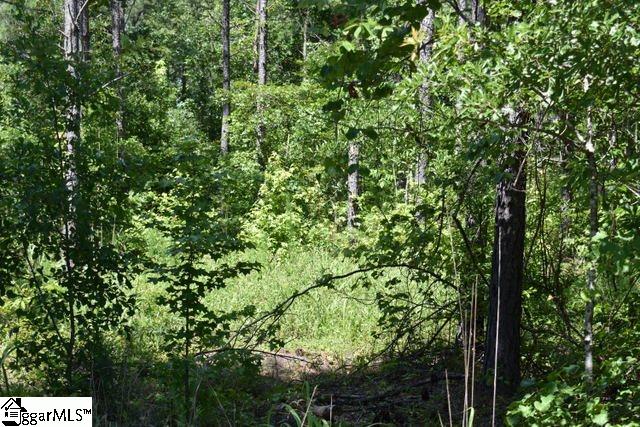 125 Mattie Campbell Road, Unit LOT 4 Honea Path, SC 29654 - Photo 11 of 14 Gallery Image 11