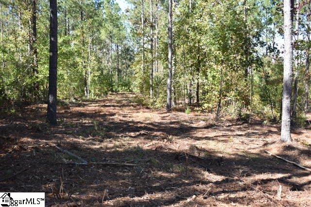125 Mattie Campbell Road, Unit LOT 4 Honea Path, SC 29654 - Photo 12 of 14 Gallery Image 12