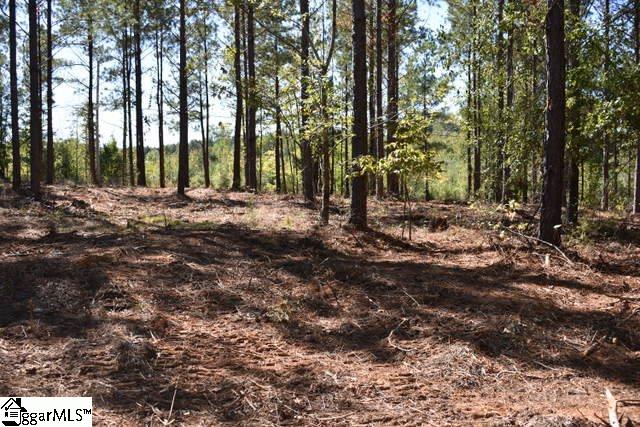 125 Mattie Campbell Road, Unit LOT 4 Honea Path, SC 29654 - Photo 13 of 14 Gallery Image 13