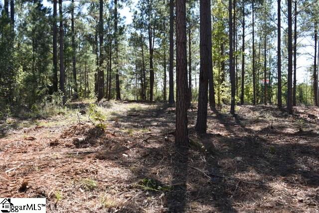 125 Mattie Campbell Road, Unit LOT 4 Honea Path, SC 29654 - Photo 14 of 14 Gallery Image 14