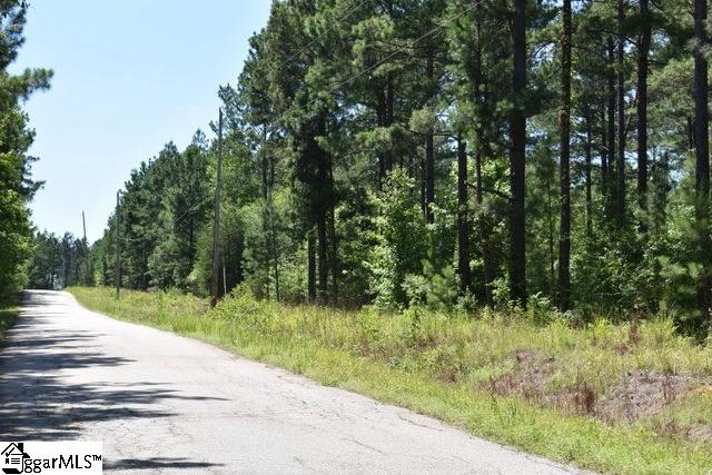 125 Mattie Campbell Road, Unit LOT 4 Honea Path, SC 29654 - Photo 8 of 14 Gallery Image 8