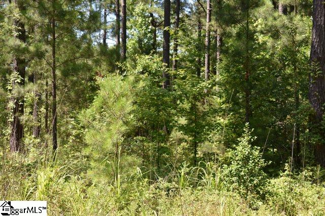 125 Mattie Campbell Road, Unit LOT 4 Honea Path, SC 29654 - Photo 10 of 14 Gallery Image 10