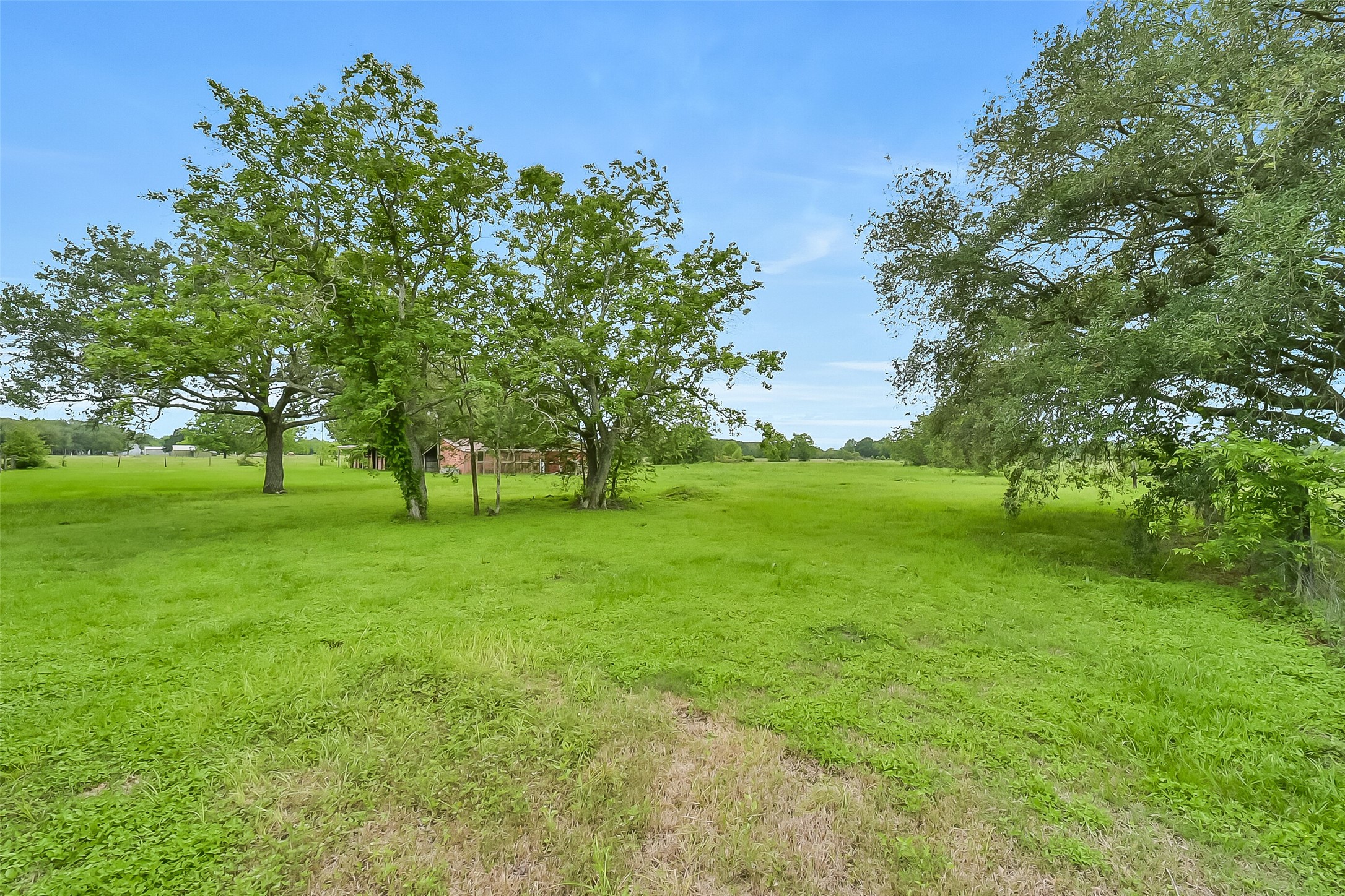9606 Needville Fairchilds Road Needville, TX 77461 - Photo 44 of 46