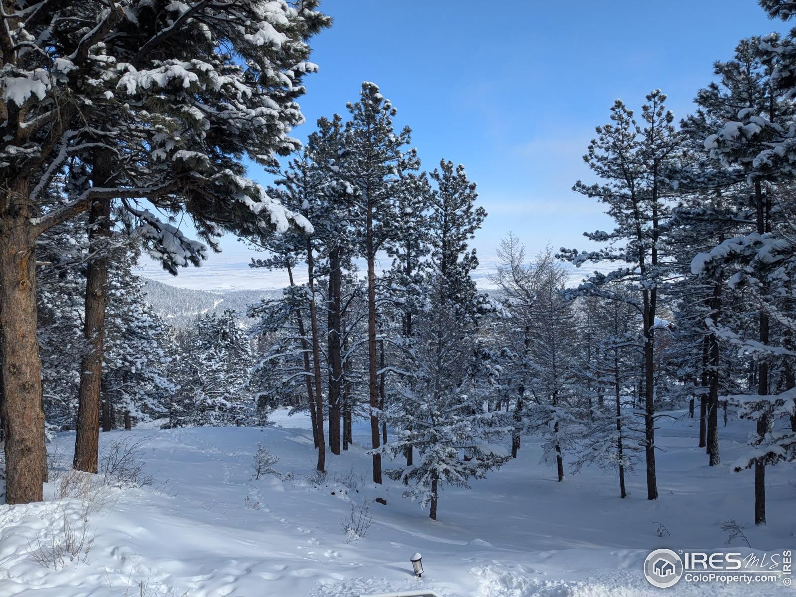 74 Sky Trail Road Boulder, CO 80302 - Photo 32 of 34 a view of a forest with trees