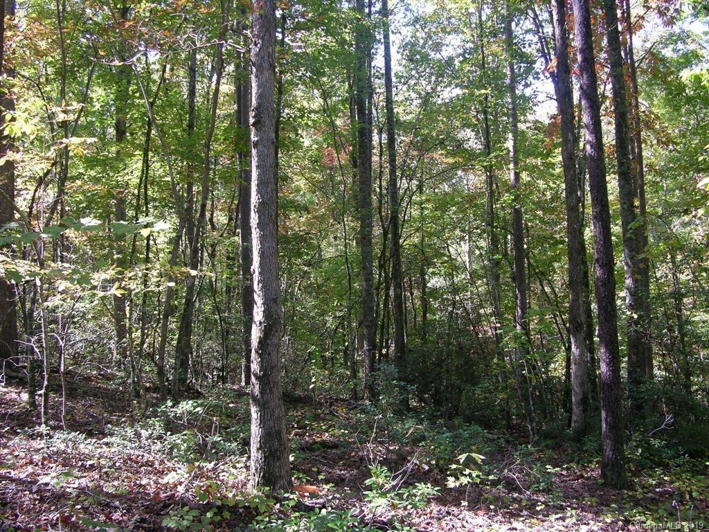 39 Womack Road Mill Spring, NC 28756 - Photo 3 of 7