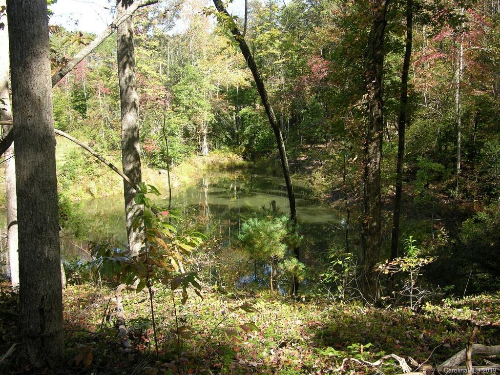 39 Womack Road Mill Spring, NC 28756 - Photo 5 of 7