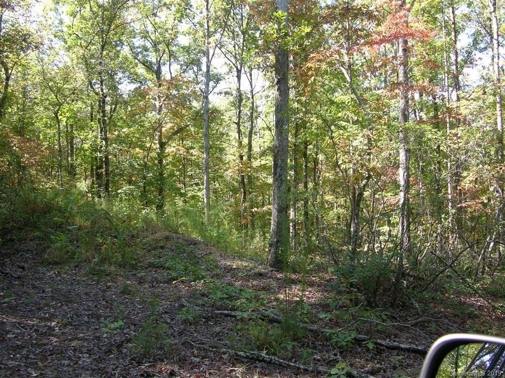 39 Womack Road Mill Spring, NC 28756 - Photo 6 of 7