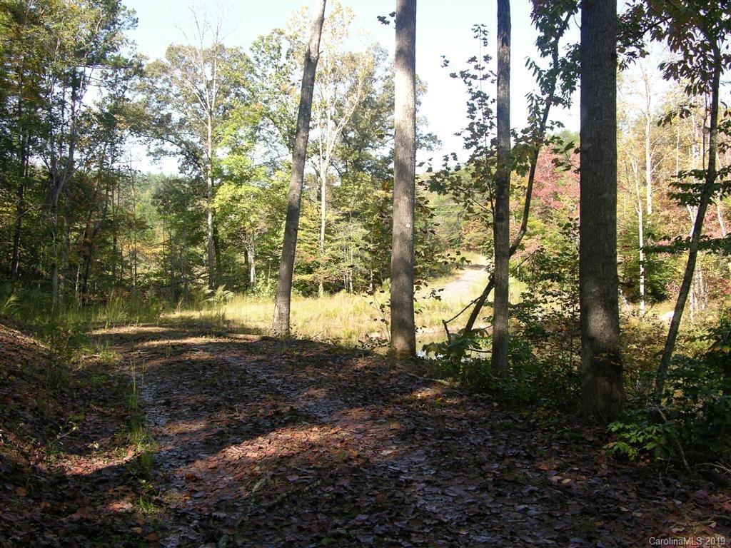 39 Womack Road Mill Spring, NC 28756 - Photo 7 of 7