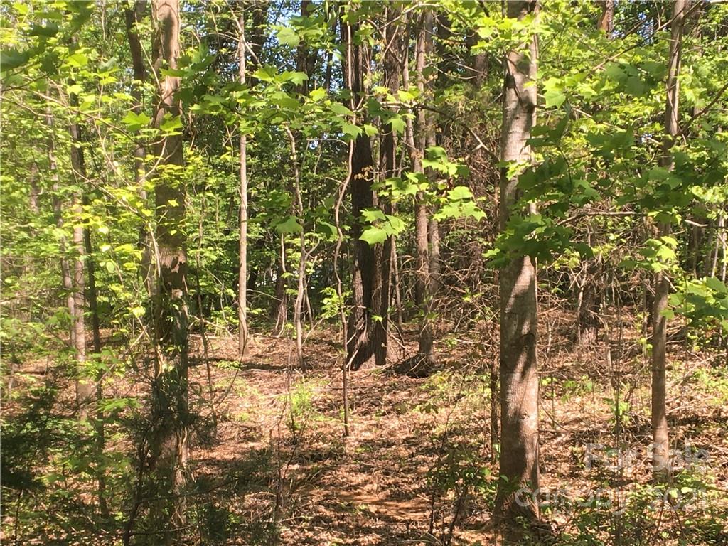 7250 Little Mountain Road Sherrills Ford, NC 28673 - Photo 11 of 16 a view of under tree
